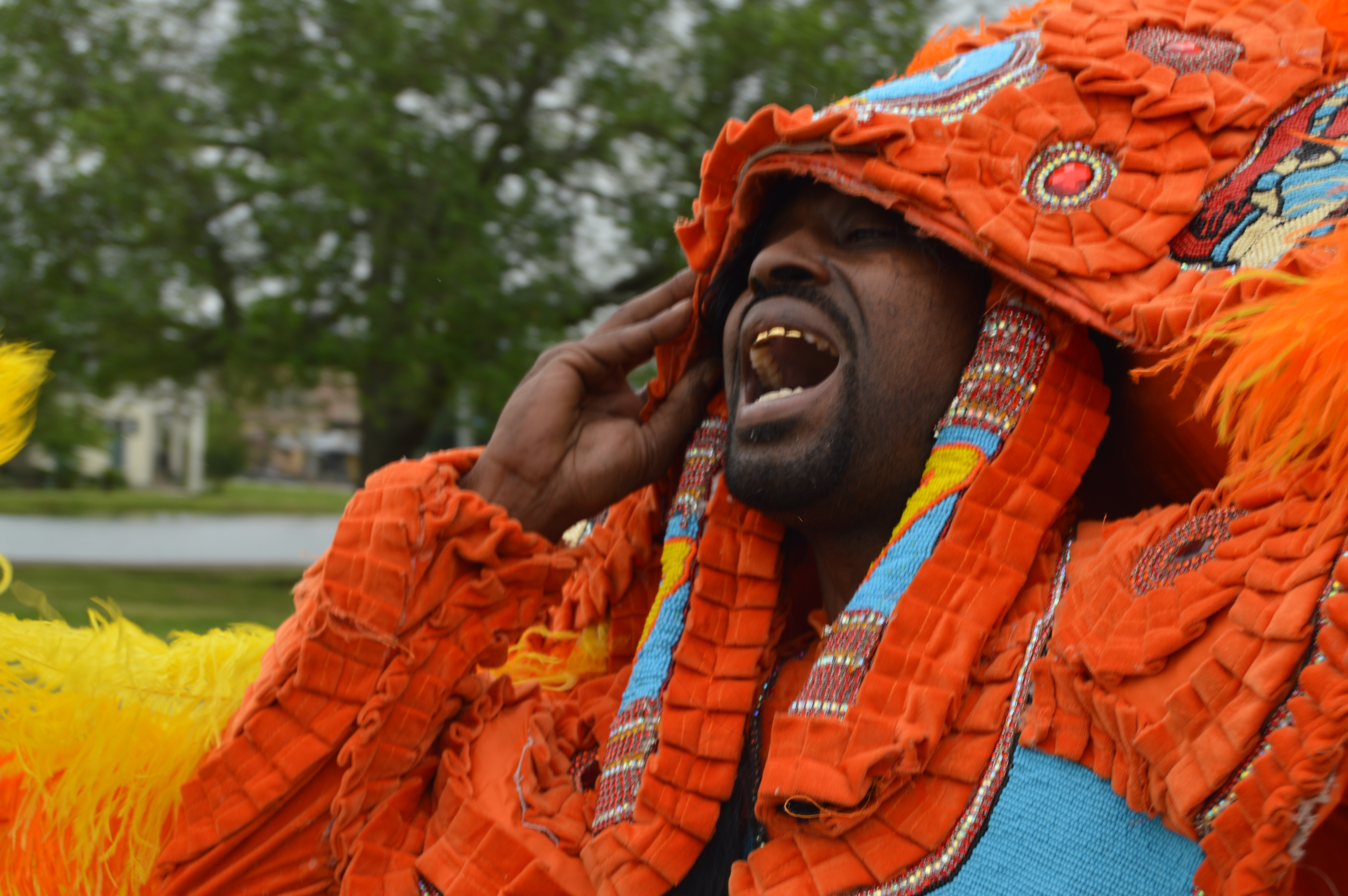 black owned tours new orleans